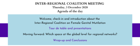 Inter-Regional Coalition meeting
