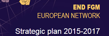 The Network launches its Strategic Plan 2015-2017