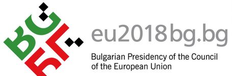 End FGM EU writes its recommendations to the Bulgarian Presidency of the Council of the EU