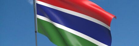 Statement on the proposal to repeal the Women Act 2015 banning FGM in The Gambia