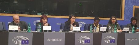 Une politique étrangère féministe de l’UE - Mettre fin aux mutilations génitales féminines”, S&D and Global Progressive Forum event, European Parliament, Strasbourg (France)